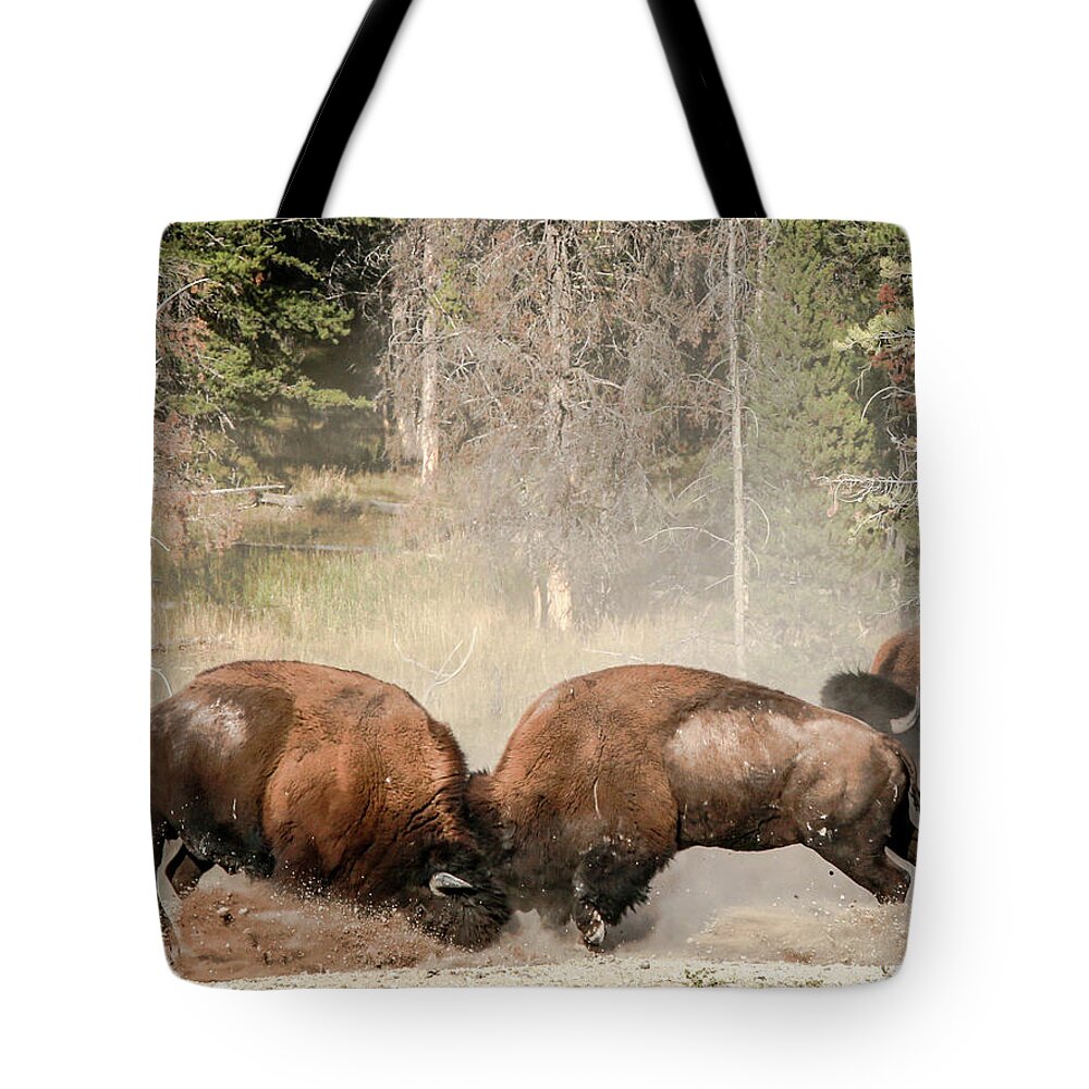 Buffalo Tote Bag featuring the photograph Fighting American Bison by Katie Dobies