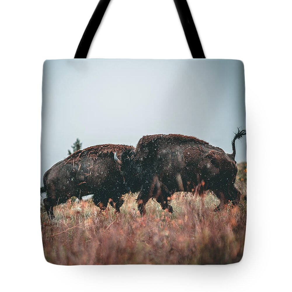  Tote Bag featuring the photograph Fighting Bison by William Boggs
