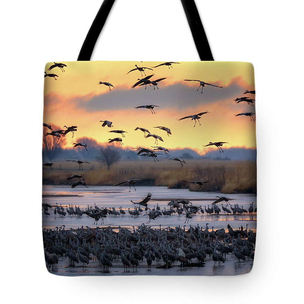 Sandhill Cranes Tote Bag featuring the photograph Final Approach by Susan Rissi Tregoning