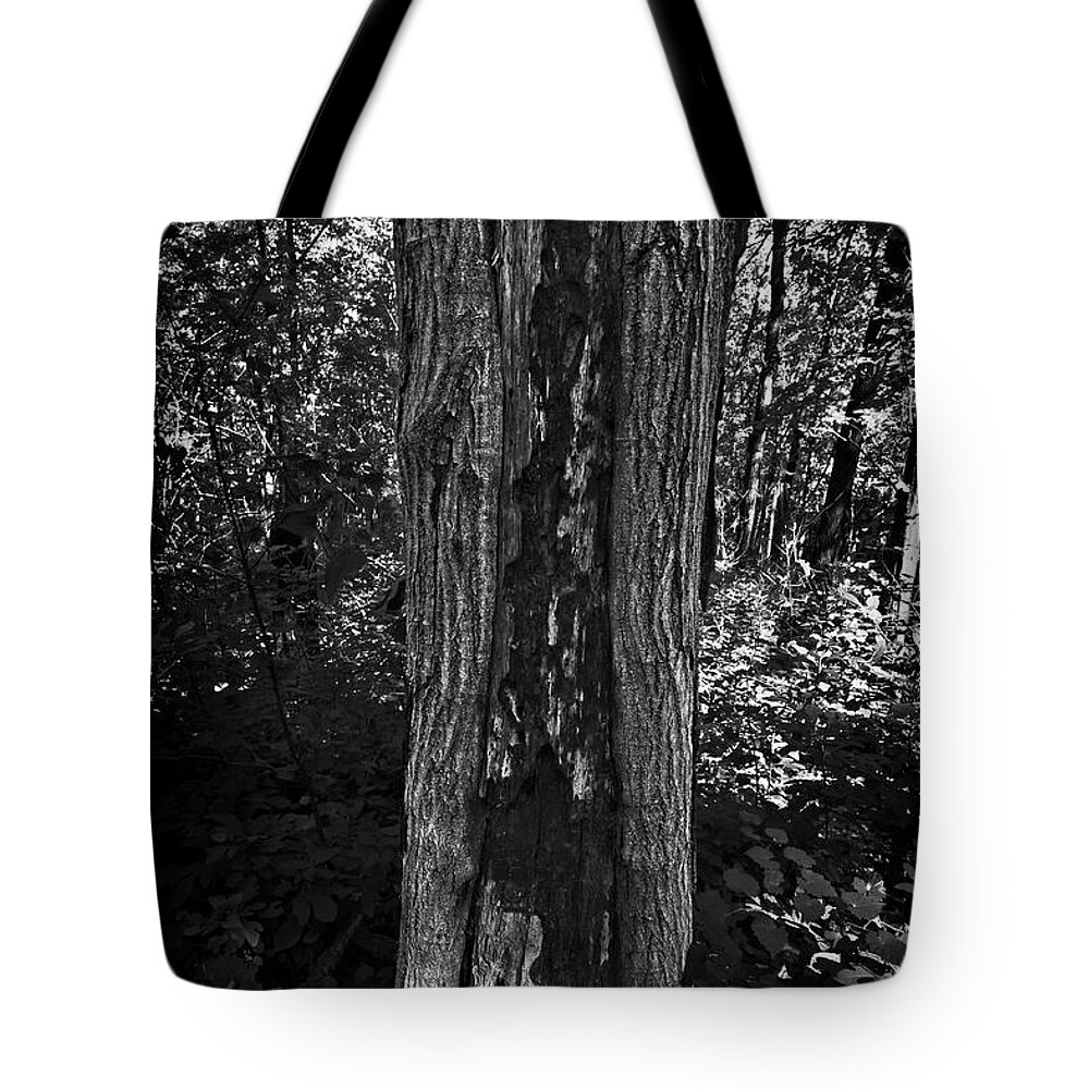 Fire Tote Bag featuring the photograph Fire Damage by George Taylor