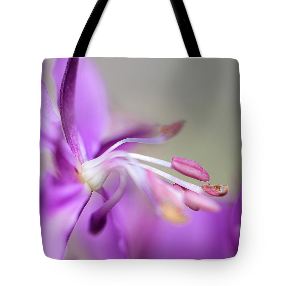 Fireweed Tote Bag featuring the photograph Fireweed Close Up by Karen Rispin