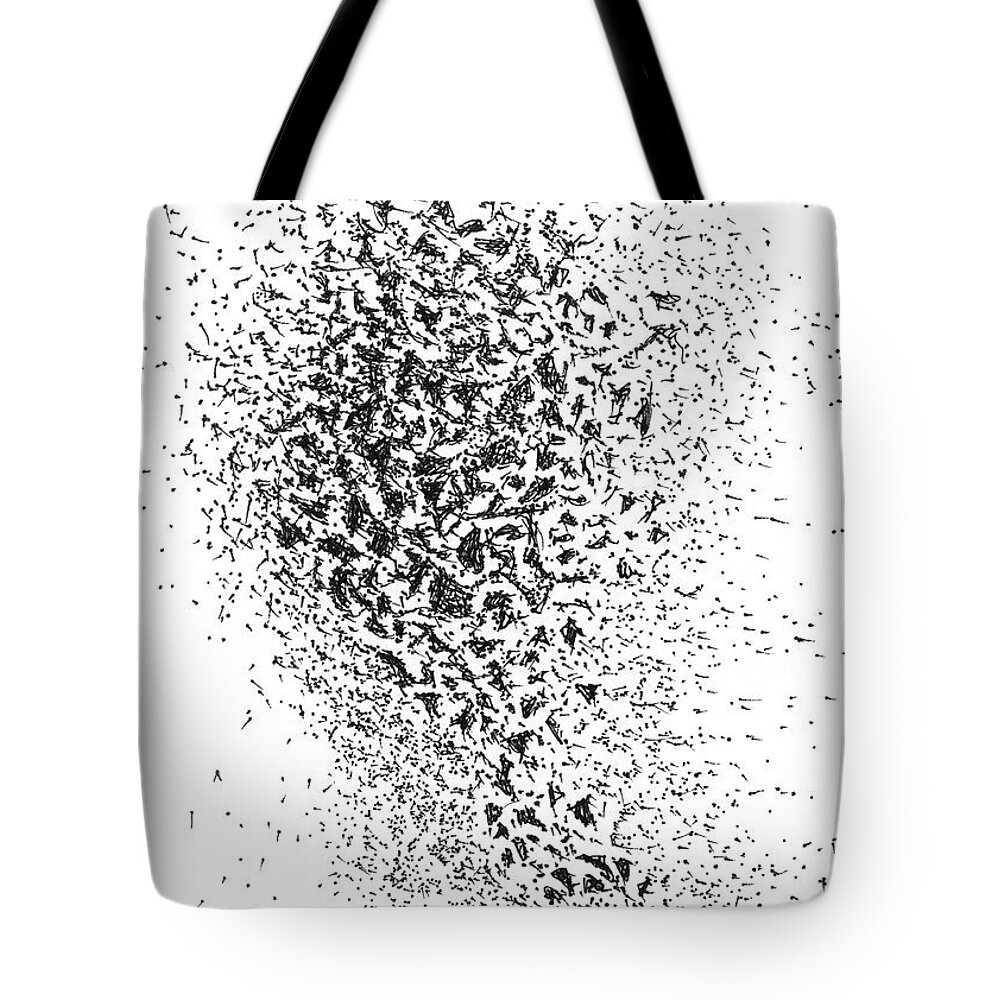 Joy Tote Bag featuring the drawing Fireworks Too by Franci Hepburn