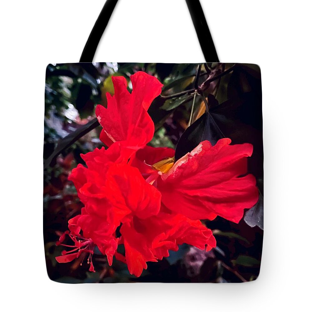 Hibiscus Tote Bag featuring the photograph Fly Away 2022 by John Anderson