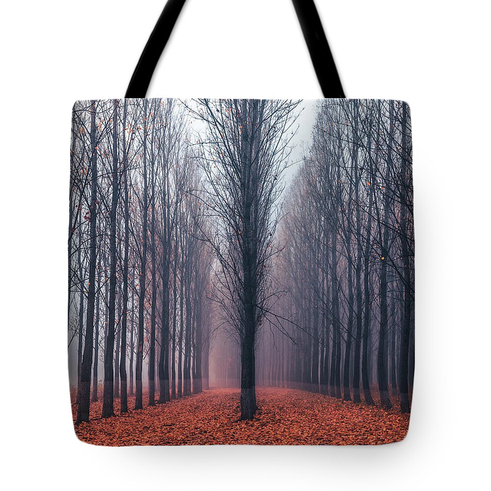 Anevsko Kale Tote Bag featuring the photograph First In the Line by Evgeni Dinev