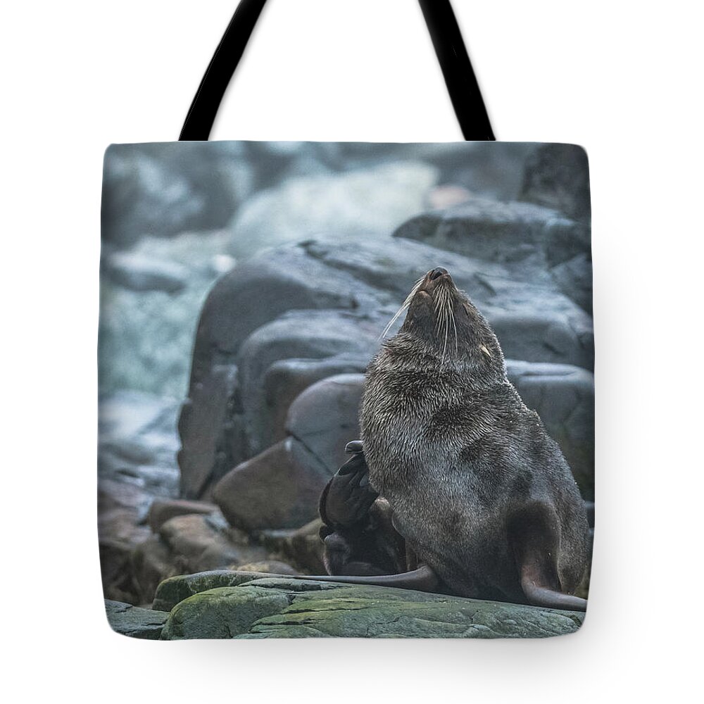 03feb20 Tote Bag featuring the photograph First Itch of the Day in Antarctica by Jeff at JSJ Photography