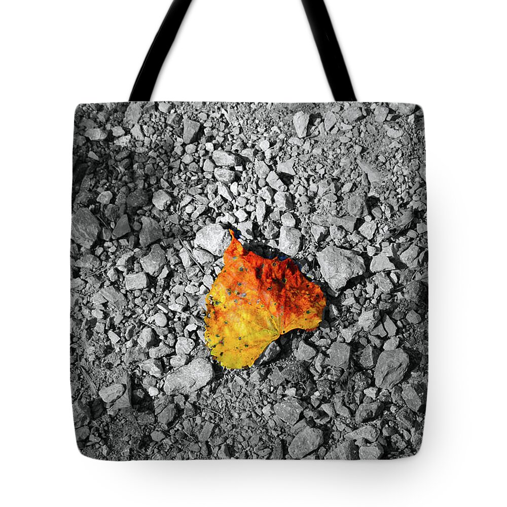 Leaf Tote Bag featuring the photograph First Leaf of Autumn by Christopher Reed