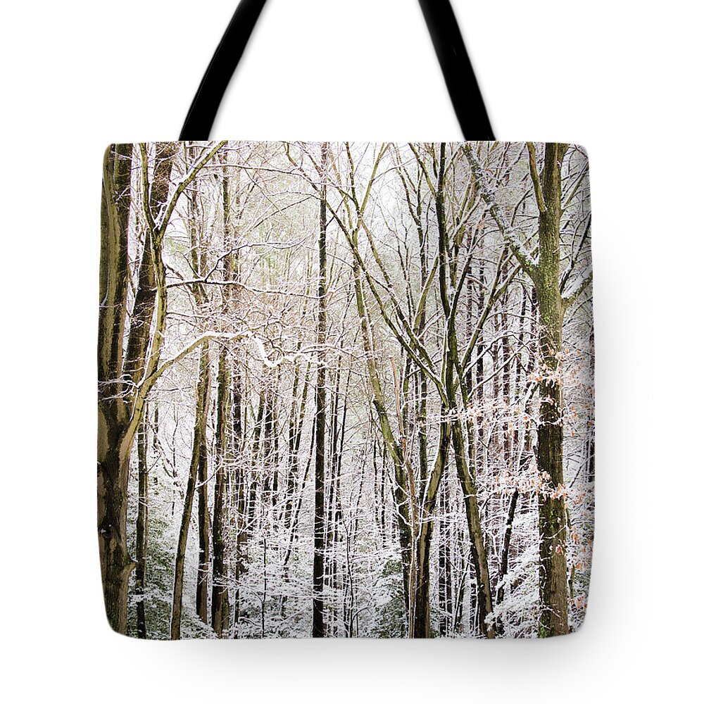 Winter Tote Bag featuring the photograph First Snow by Stacy Abbott