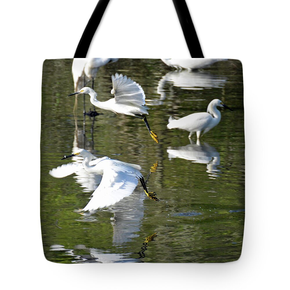 Birds Tote Bag featuring the photograph Fish and Fly by Bruce Gourley