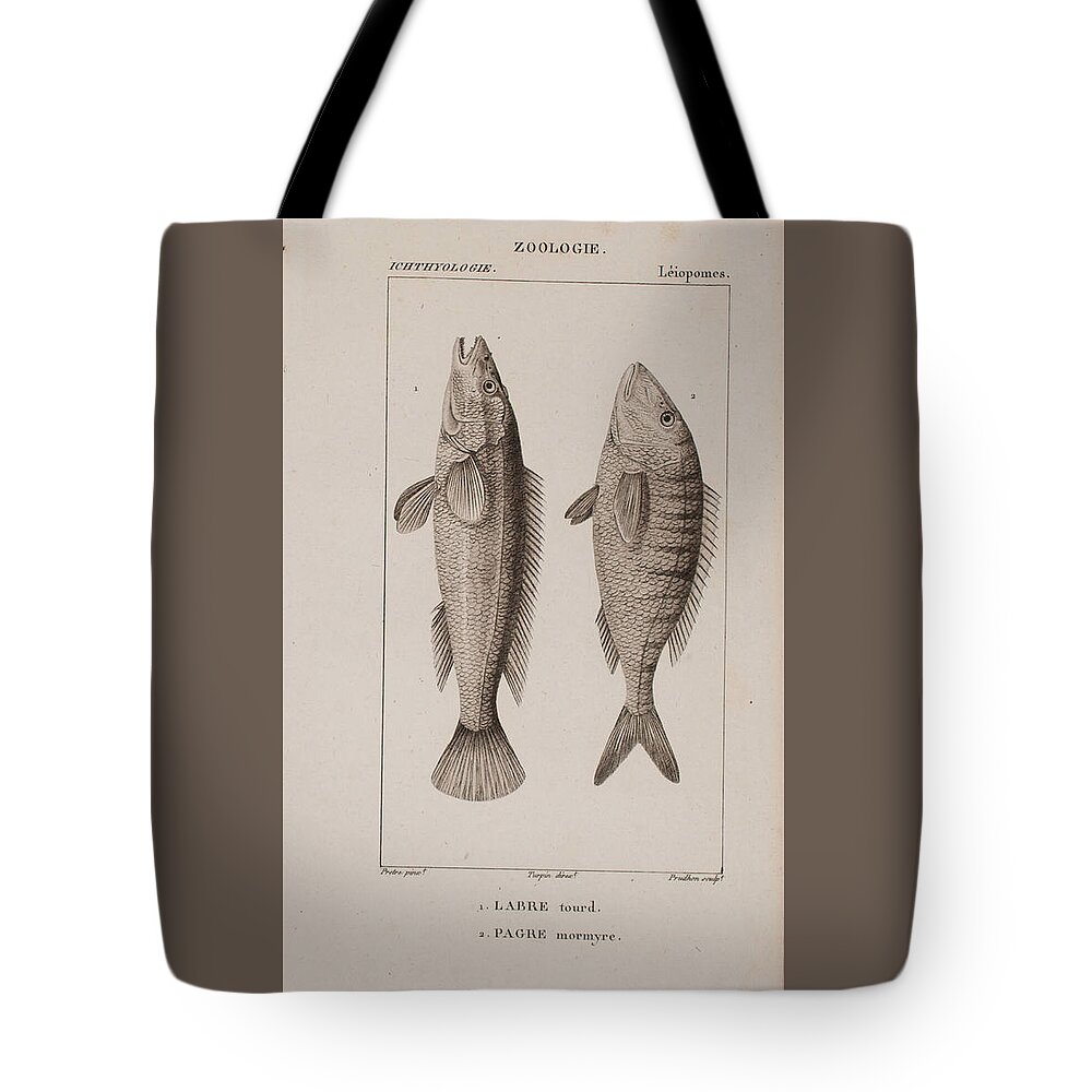 Fish Tote Bag featuring the digital art Fish c. 1816 by Kim Kent