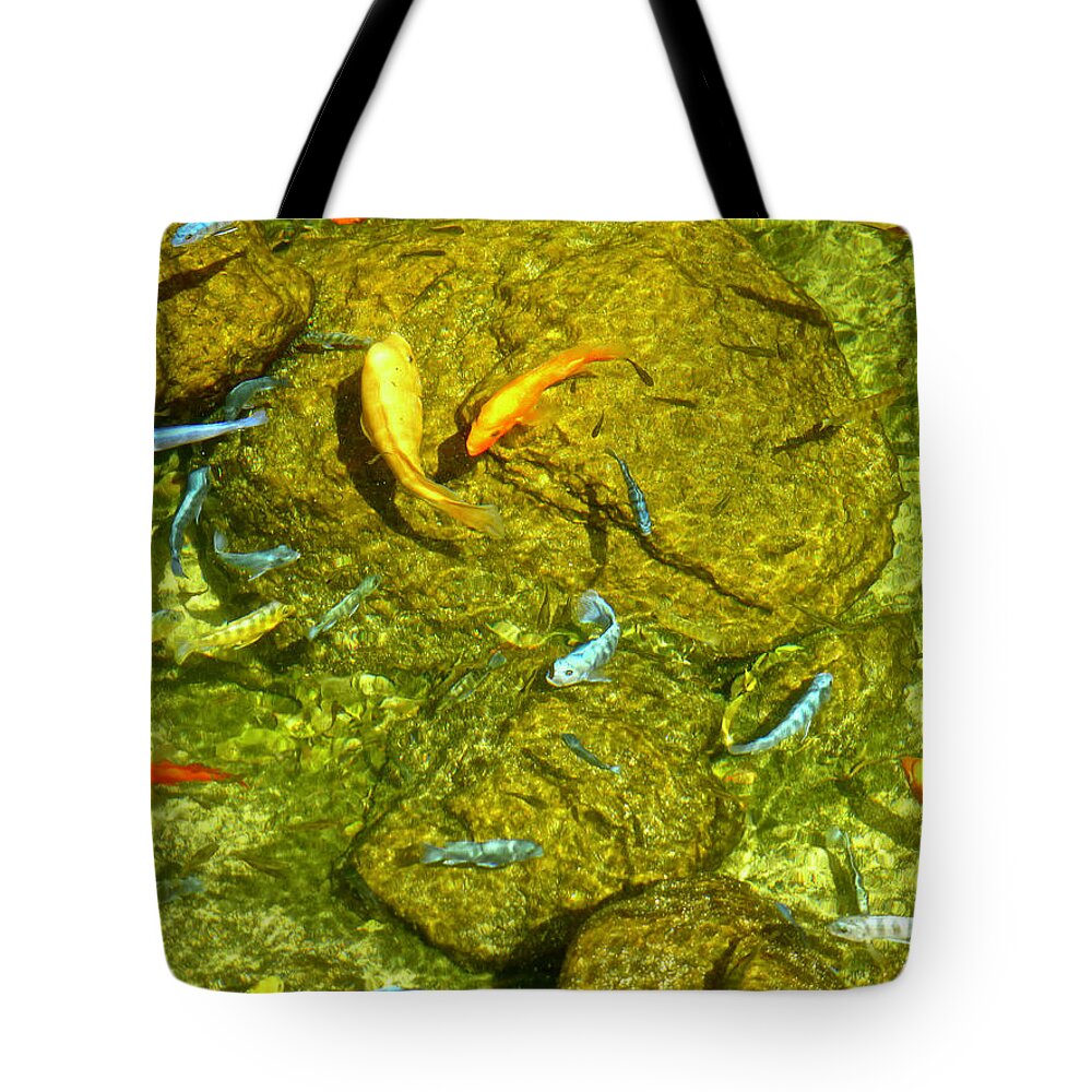 Fish Tote Bag featuring the photograph Fish Pond Waikiki by Amelia Racca