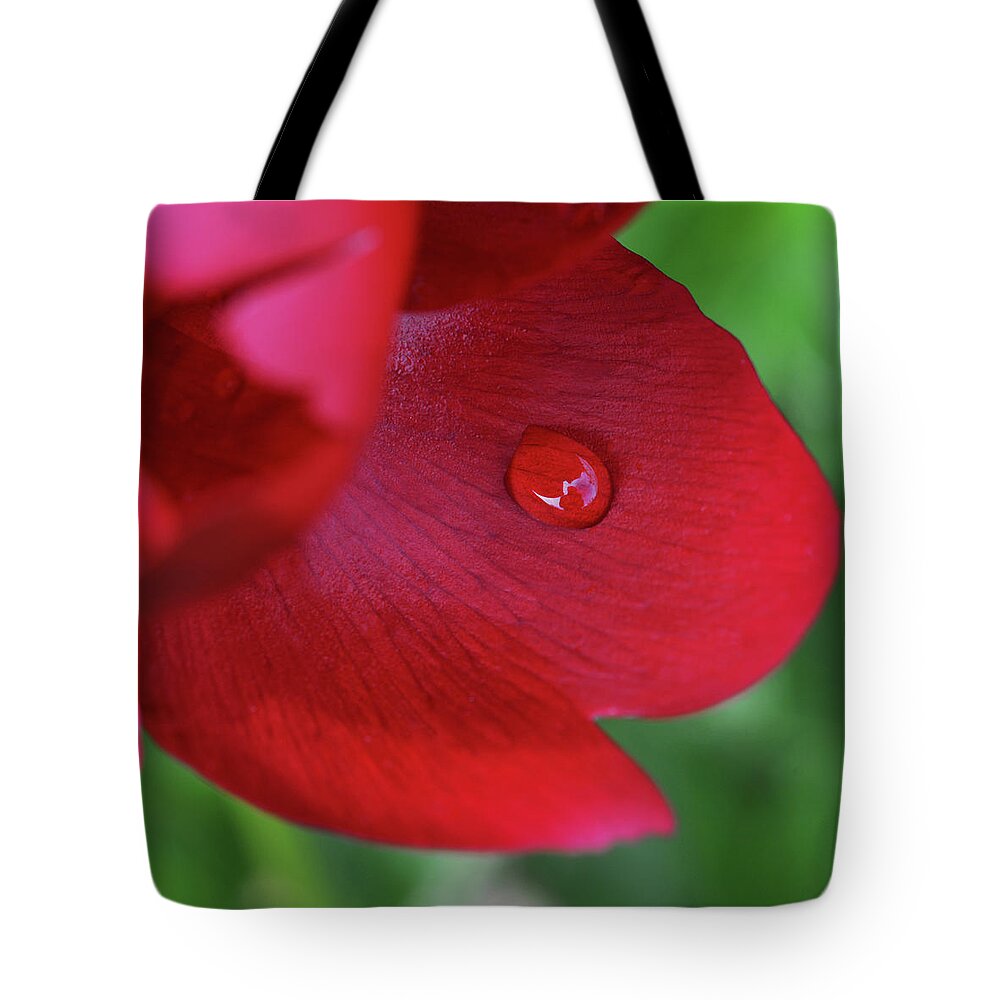  Tote Bag featuring the photograph Fish by Yue Wang