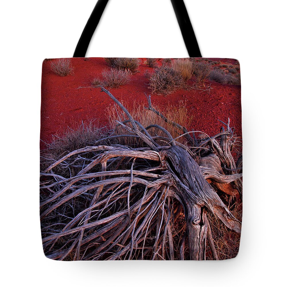 Utah Tote Bag featuring the photograph Fisher Towers at Dusk by Ray Mathis
