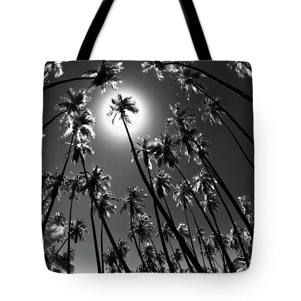 Fisheye Tote Bag featuring the photograph Palm Contrasts by Sean Davey