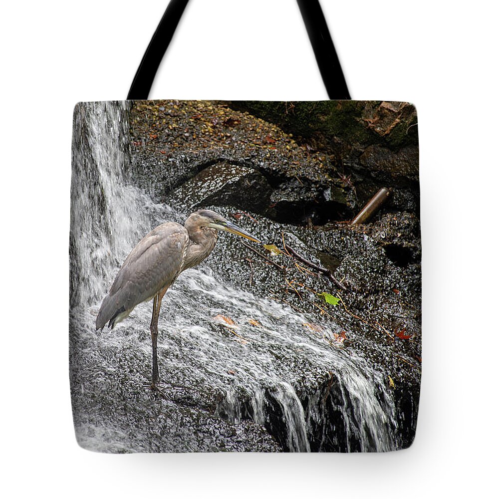 Waterfall Tote Bag featuring the photograph Fishing or showering by Stacy Abbott