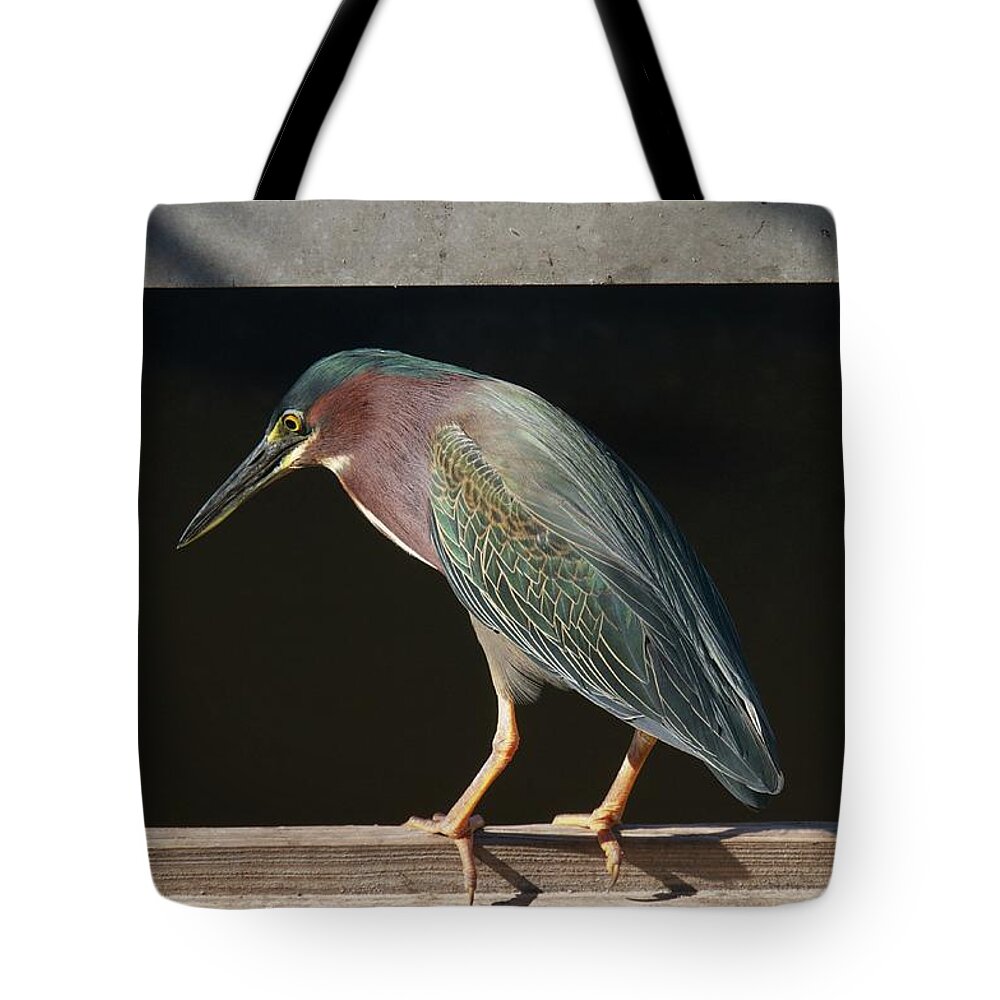 Florida Tote Bag featuring the photograph Fishing Time by Melissa Southern