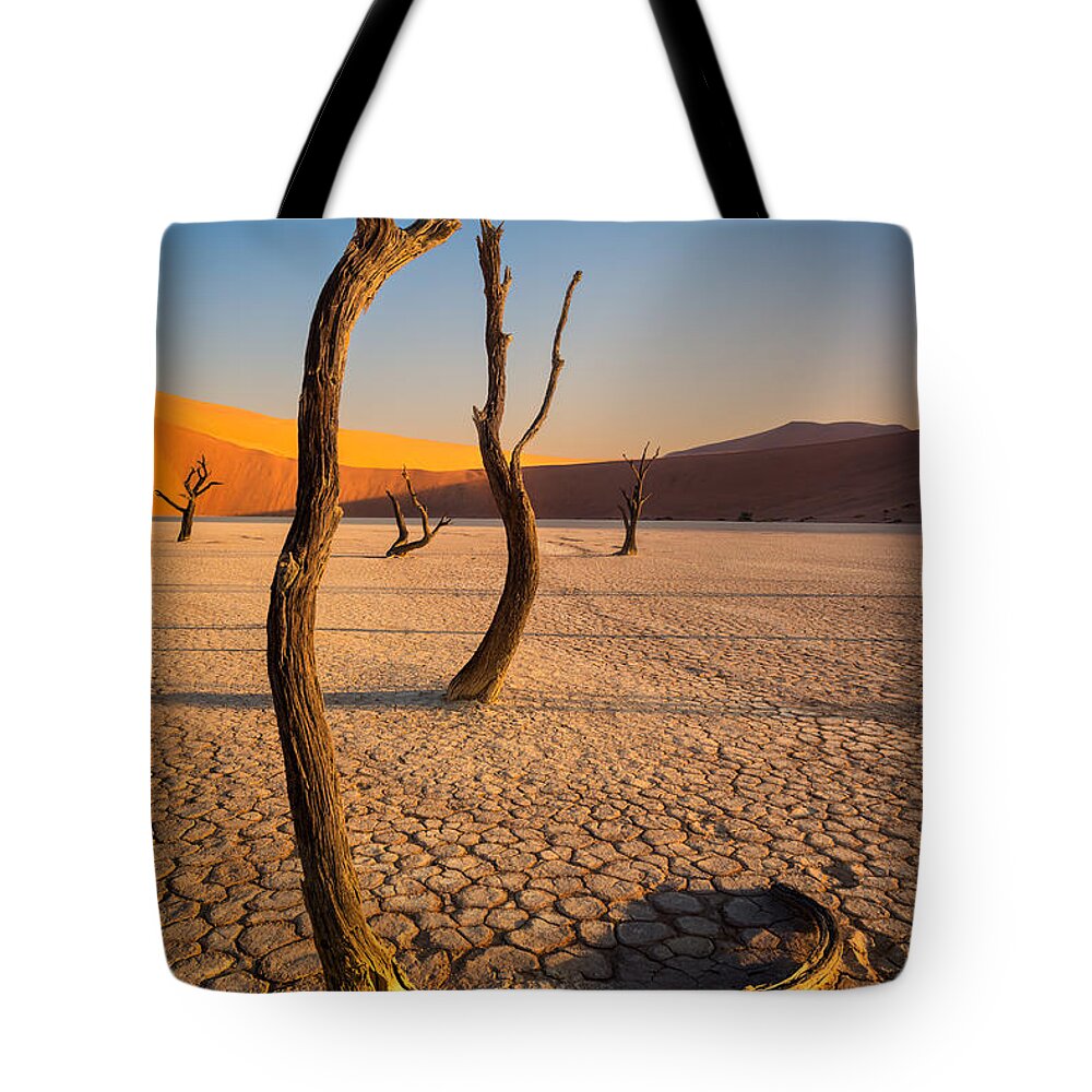 Camel Thorn Trees Tote Bag featuring the photograph Five Graces by Peter Boehringer