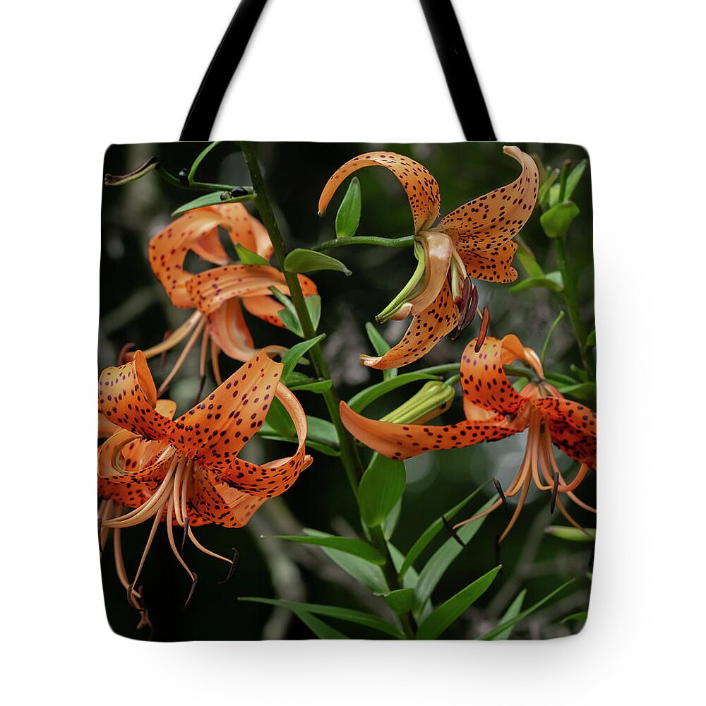 Lilies Tote Bag featuring the photograph Five Tiger Lilies and a Bud by Carol Senske
