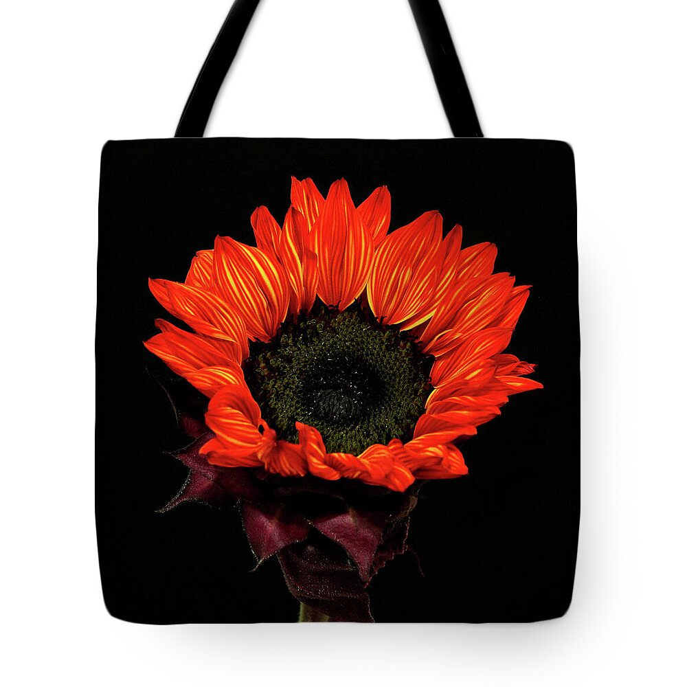 Sunflower Tote Bag featuring the photograph Flaming Flower by Judy Vincent