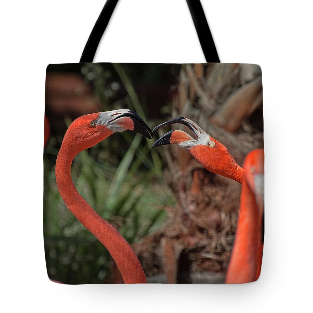 Flamingo Tote Bag featuring the photograph Flamingo Quarrel by Carolyn Hutchins