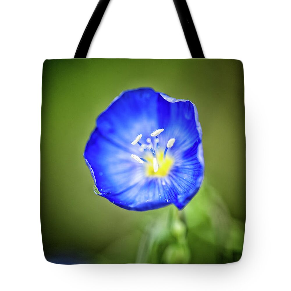 Co Tote Bag featuring the photograph Flax by Doug Wittrock