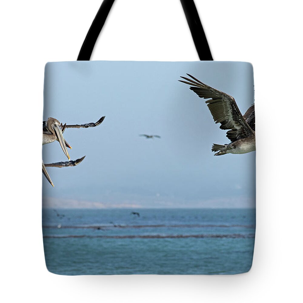 Pelican Tote Bag featuring the photograph Flight of the Pelicans by Sue Cullumber