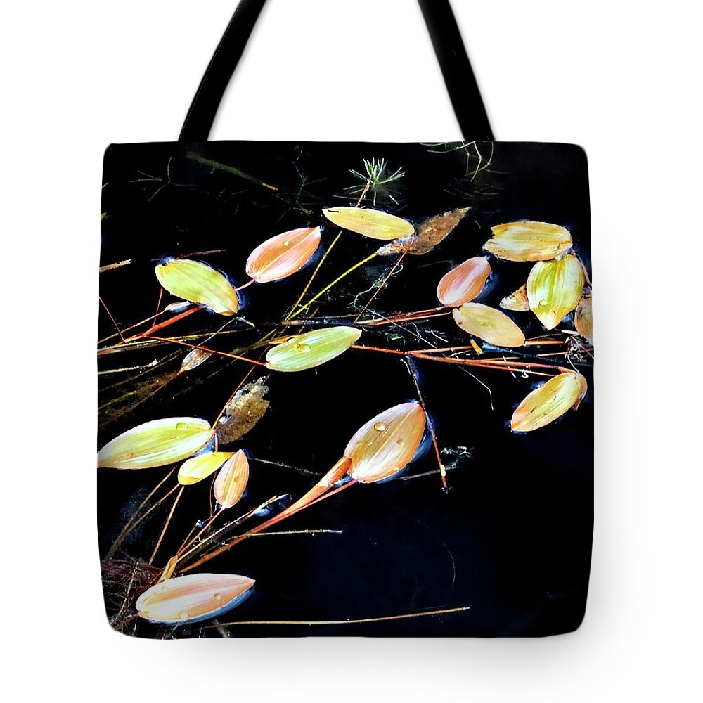 Nature Tote Bag featuring the photograph Floating Branches and Leaves 2 by Jerry Sodorff