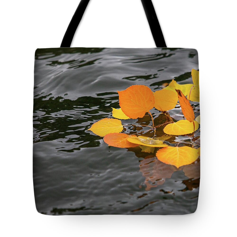 Autumn Tote Bag featuring the photograph Floating Colors by Robin Valentine