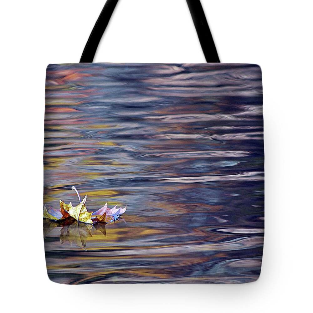 Leaf Tote Bag featuring the photograph Floating by Denise Romano