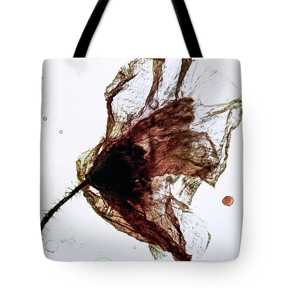 Flowers Tote Bag featuring the photograph Floating poppy by Al Fio Bonina