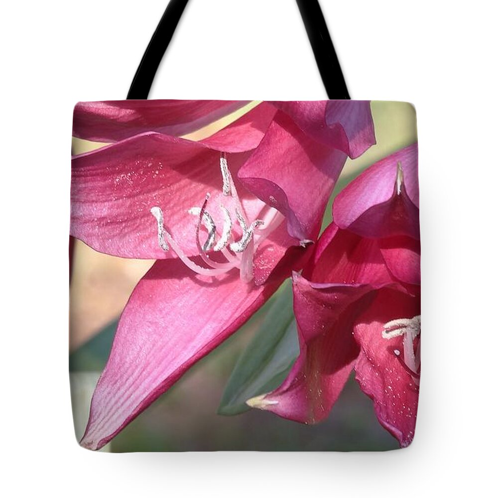 Flower Tote Bag featuring the photograph Flor Bella by Lizette Tolentino