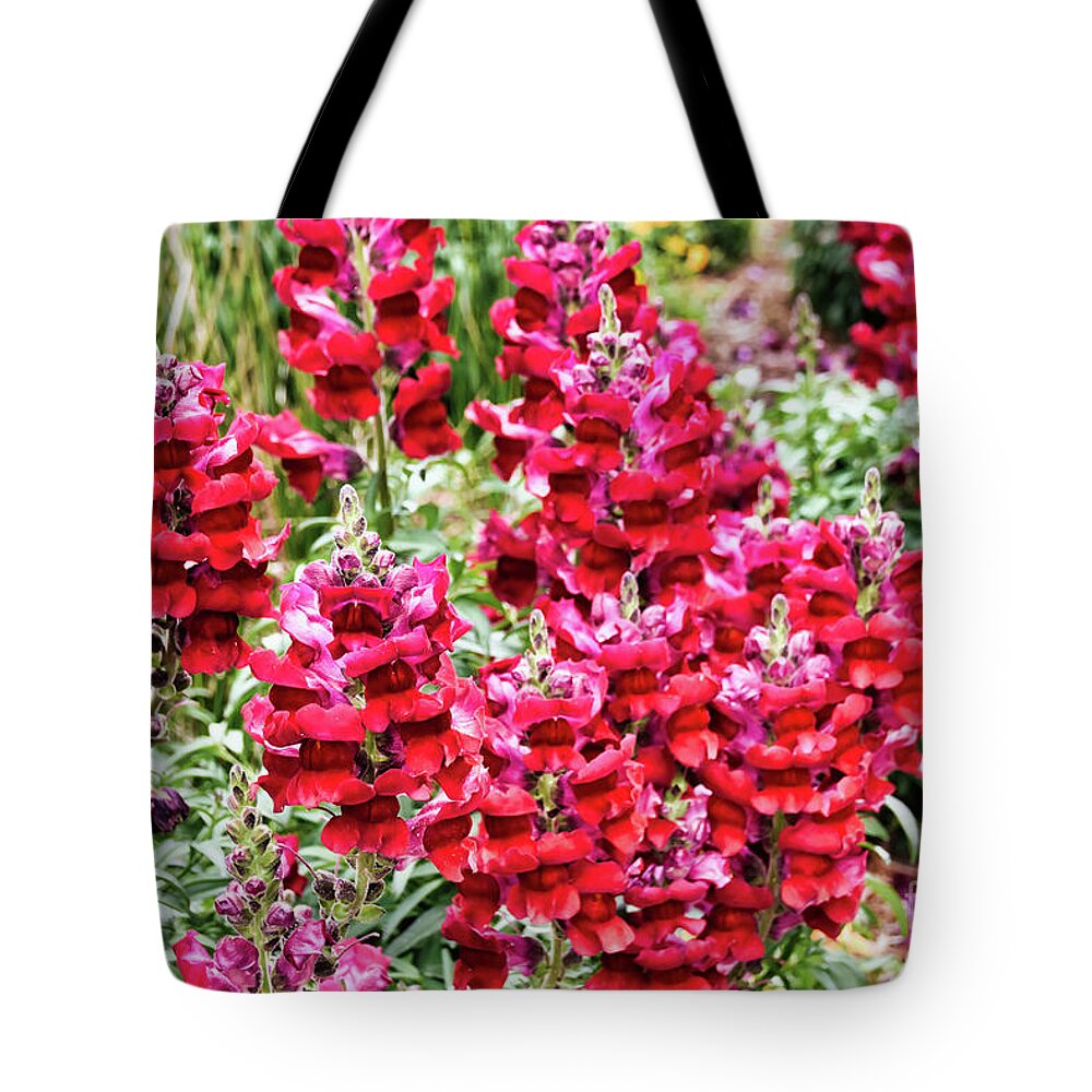 Vibrant Tote Bag featuring the photograph Floral 35 #flower #bold #colorful by Andrea Anderegg