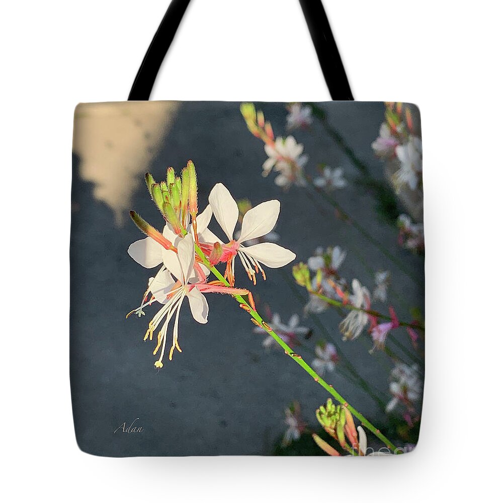 Floral Photography By Felipe Adan Lerma Tote Bag featuring the photograph Floral Series 4, Waking Gently to the Light circa 2019 by Felipe Adan Lerma