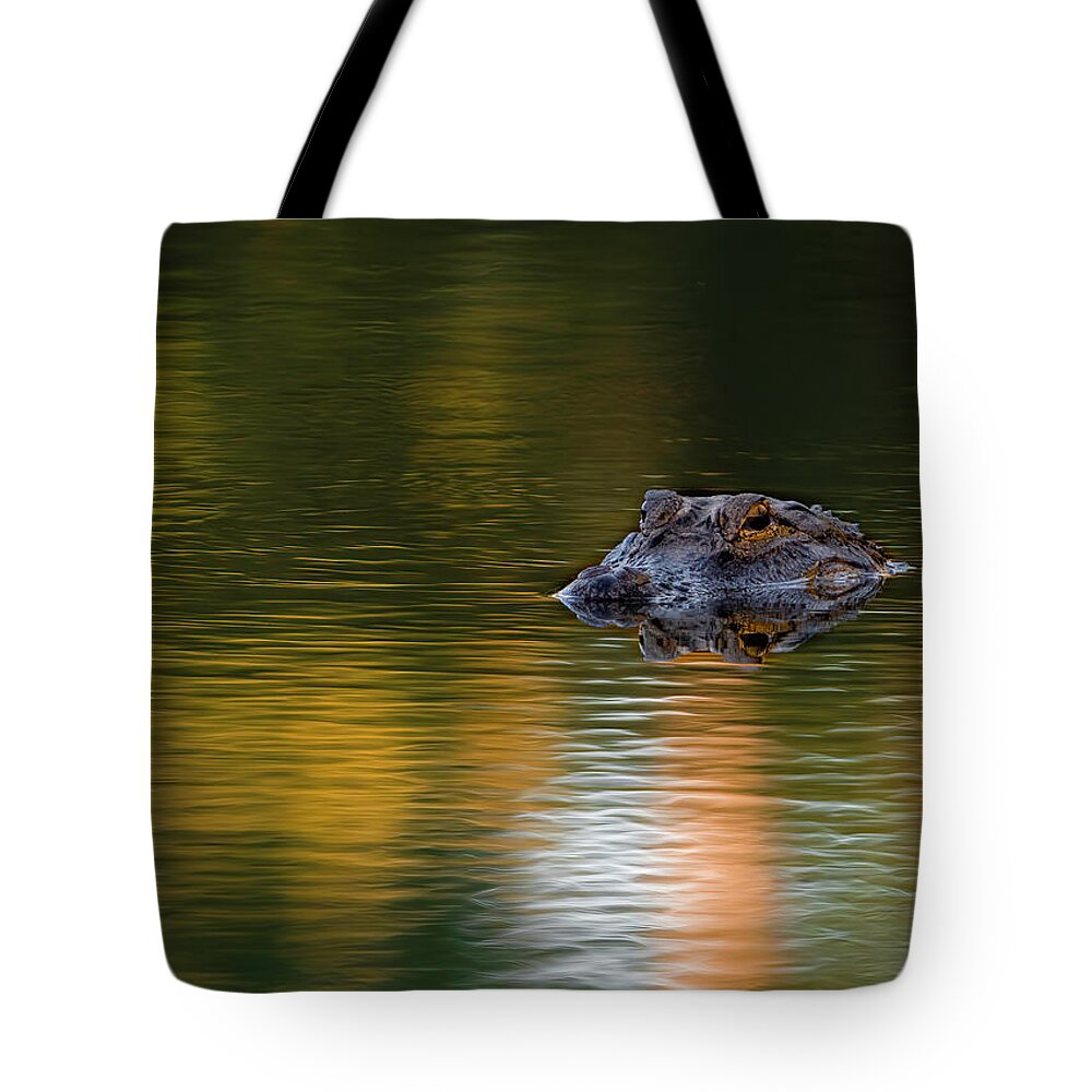 Aligator Tote Bag featuring the photograph Florida Gator 4 by Larry Marshall