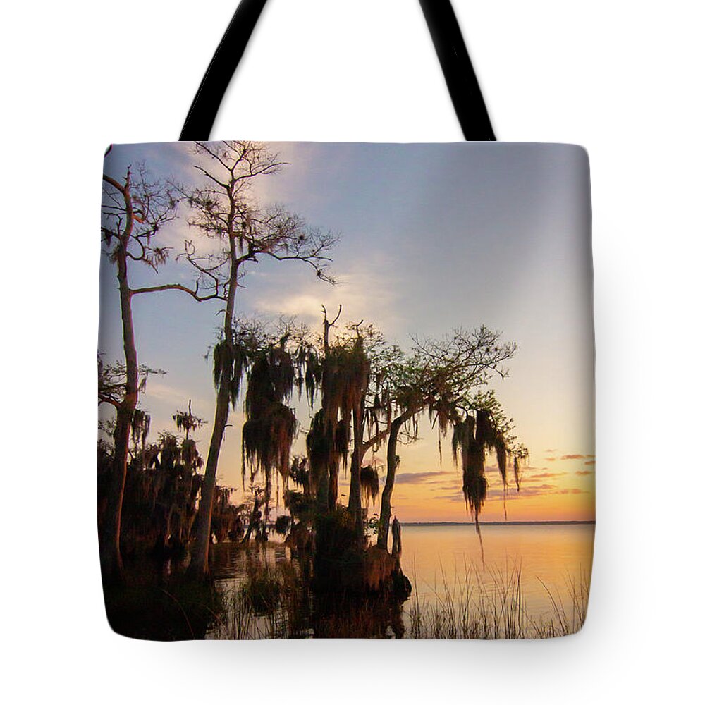 Moss Tote Bag featuring the photograph Florida's Cypress Trees by Dorothy Cunningham