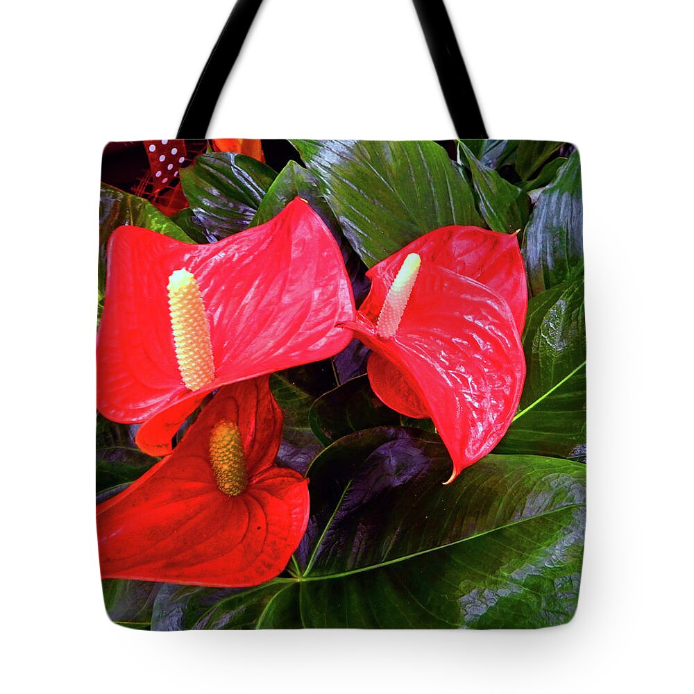 Flowers Tote Bag featuring the photograph Red Green Plant by Andrew Lawrence