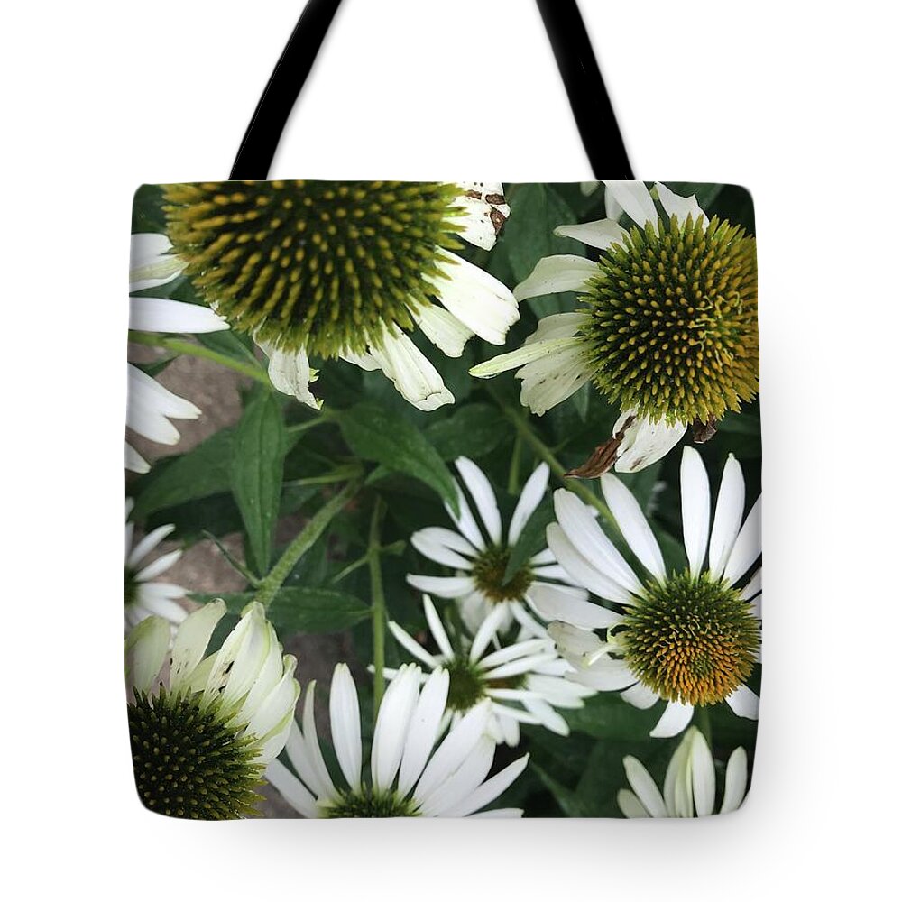 Flowers Tote Bag featuring the photograph Flower balls by Jean Wolfrum