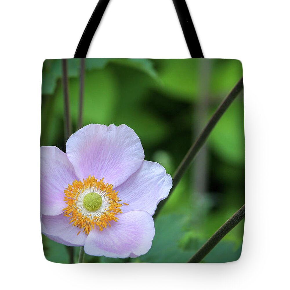 Flower Tote Bag featuring the photograph Flower Hanging Over the Sidewalk by Robert Carter