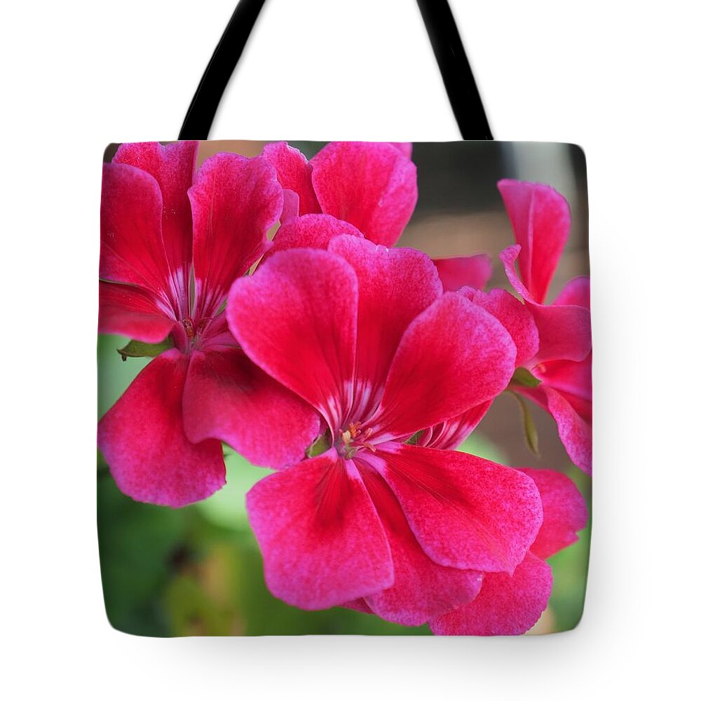 Red Tote Bag featuring the photograph Flower in bloom 6 by C Winslow Shafer