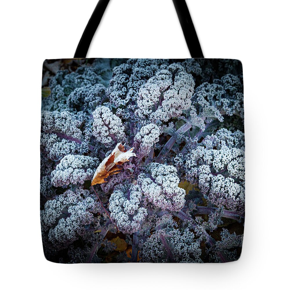 Kale Tote Bag featuring the photograph Flower of the Frost by Marilyn Cornwell