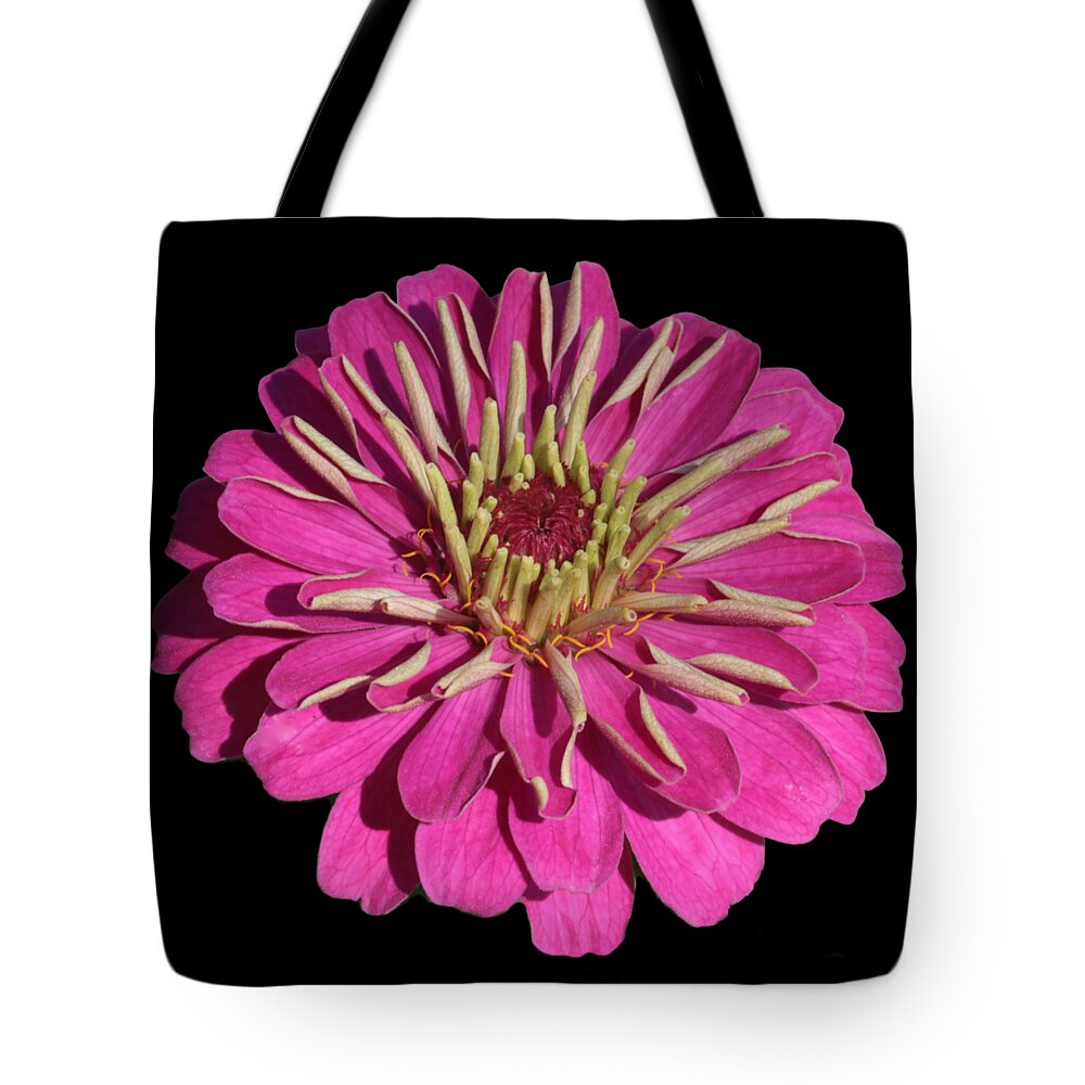 Zinnia Tote Bag featuring the photograph Flower Power - Bright Pink Zinnia with Black Backgound by Carol Groenen