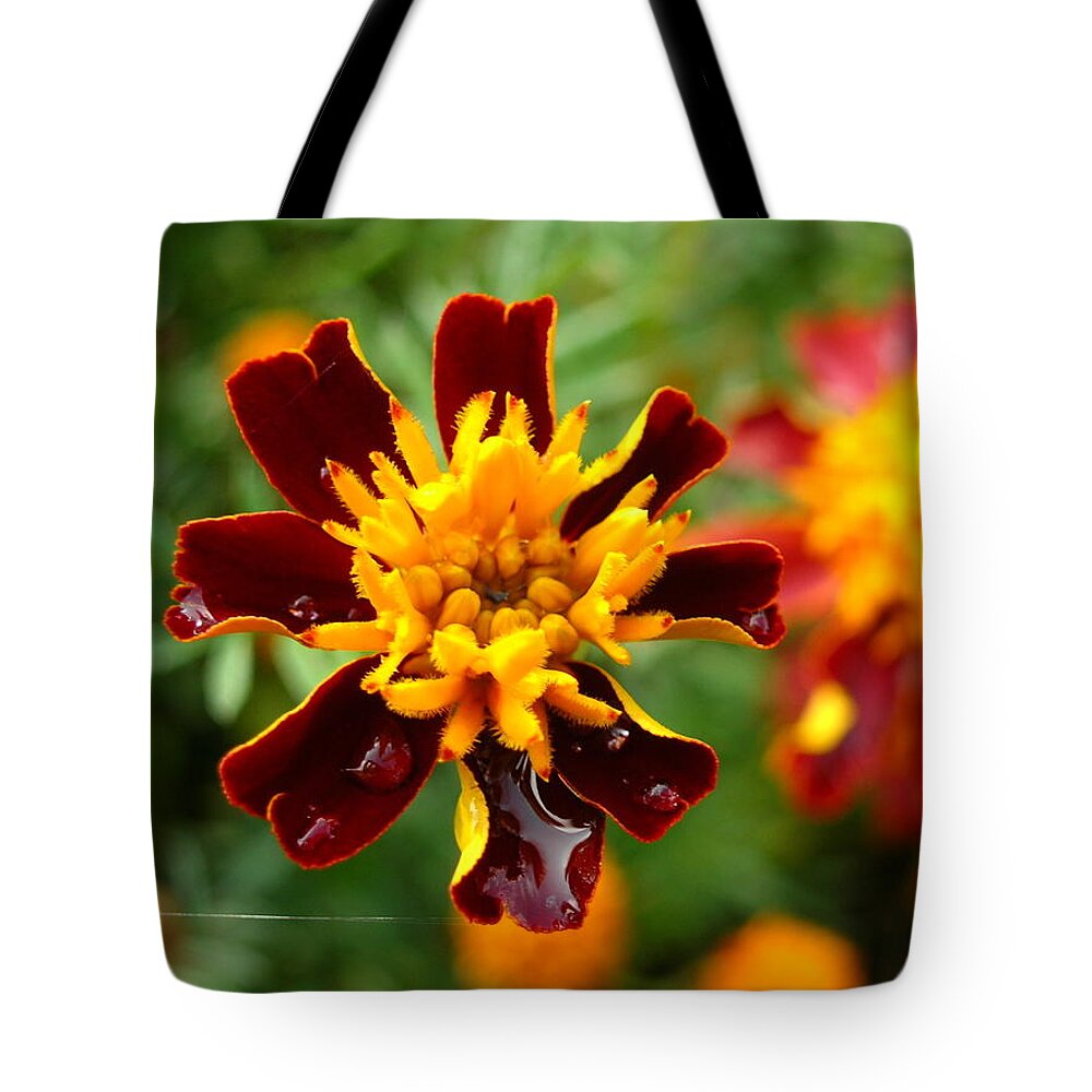 Flower Tote Bag featuring the photograph Flower by Tanja Leuenberger
