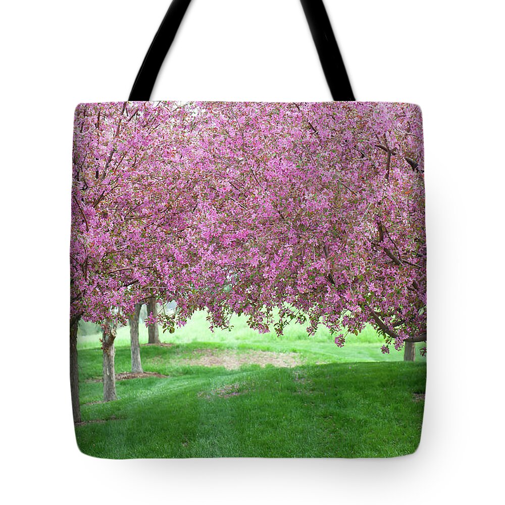 Spring Tote Bag featuring the photograph Flowering Crab by Doug Wittrock