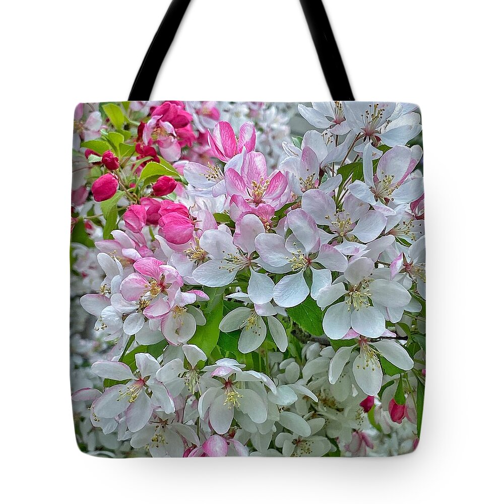 Tree Tote Bag featuring the photograph Flowering Crabapple Tree by Jerry Abbott