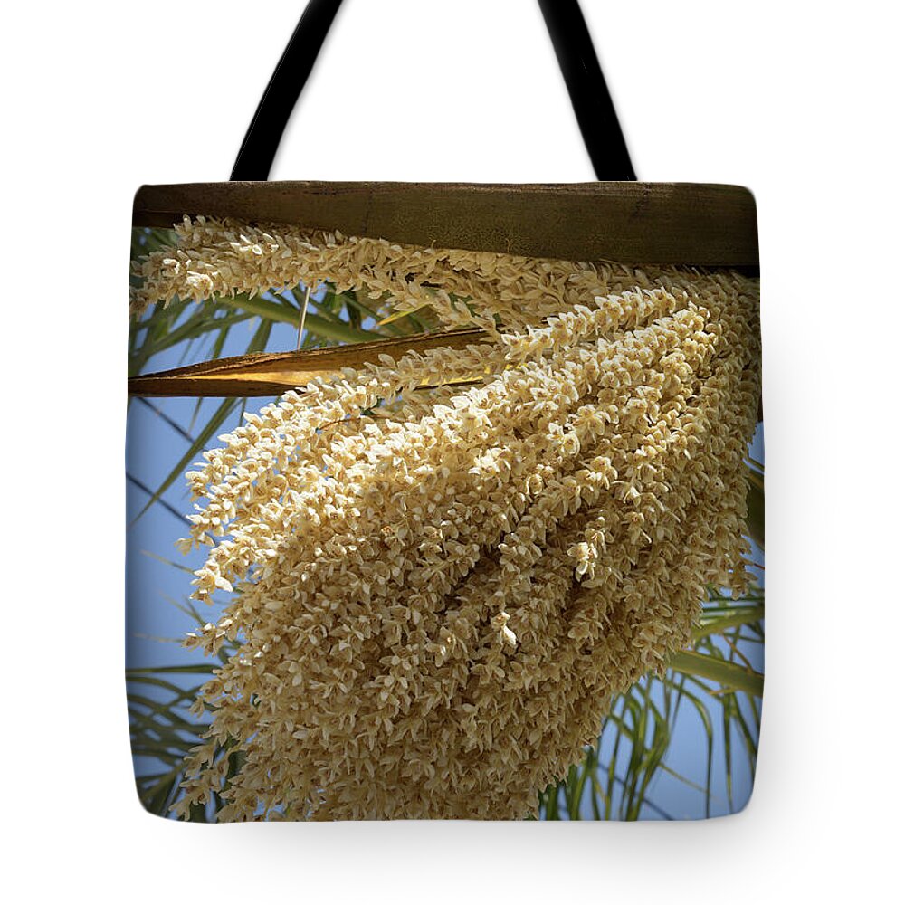 Date Palm Tote Bag featuring the photograph Flowering date palm and blue sky by Adriana Mueller