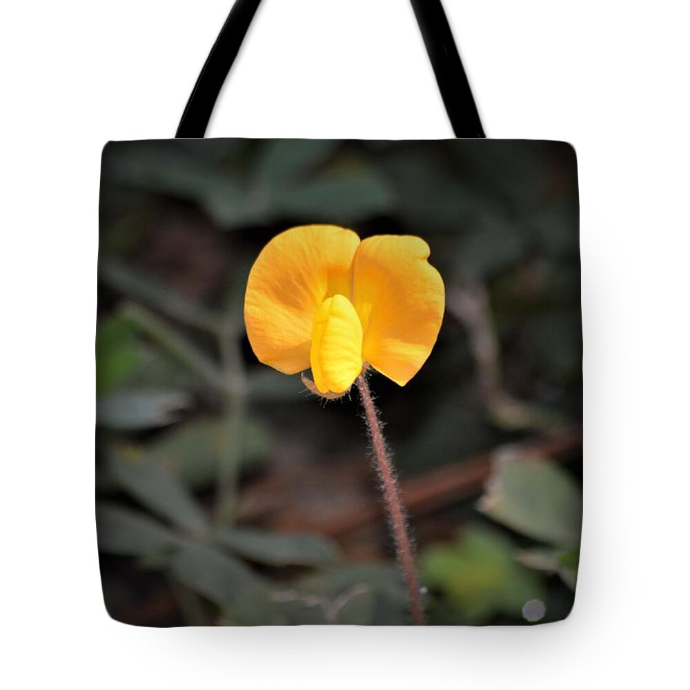 Flowering Peanut Grass Tote Bag featuring the photograph Flowering Peanut Grass by Warren Thompson