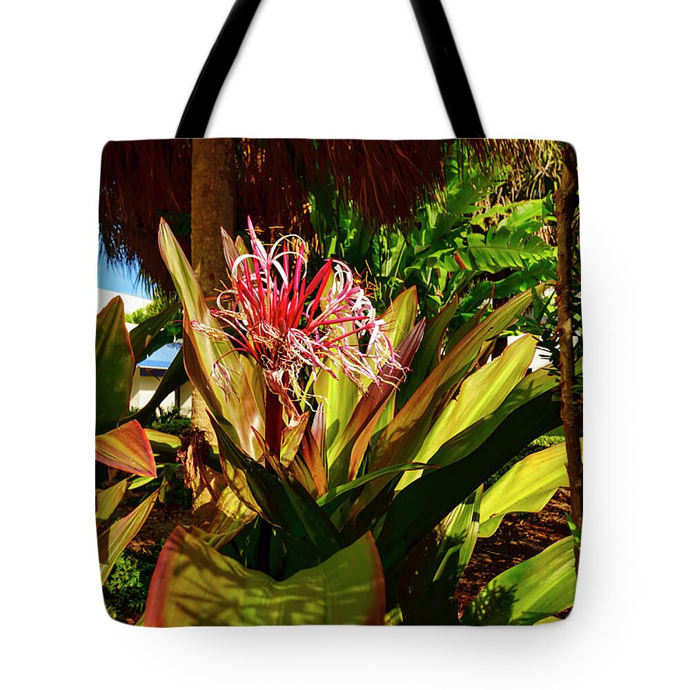 Sun; Light; Flower; Plant; Color Tote Bag featuring the photograph Flowering Plant by AE Jones