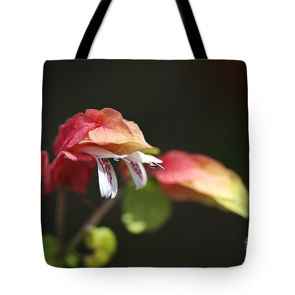 Evergreen Tote Bag featuring the photograph Flowering Shrimp Plant by Joy Watson