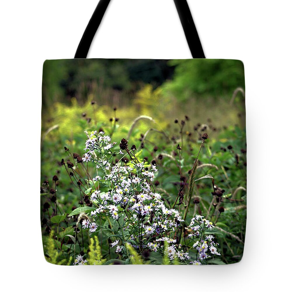 Flowers Tote Bag featuring the photograph Flowers at the End of Summer by Christopher Reed