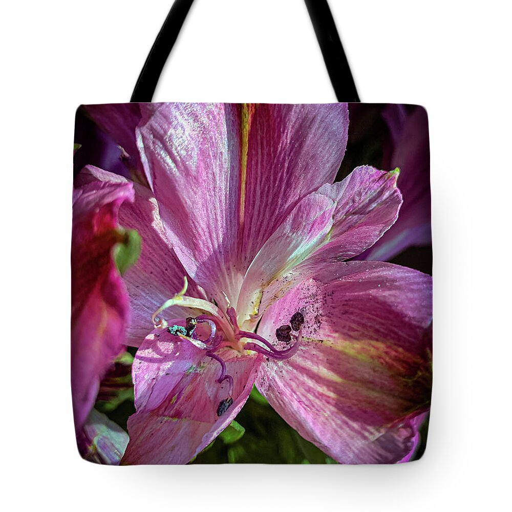 Flower Tote Bag featuring the photograph Flowers in the sun by Jim Feldman