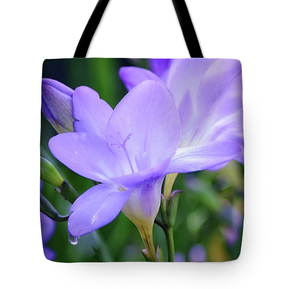 Freesia Tote Bag featuring the photograph Flowers of SoCal - Freesia and Dew Drop by Gaby Ethington